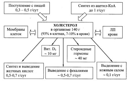 Задержка месячных